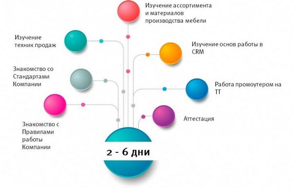 Схема второго этапа стажировки