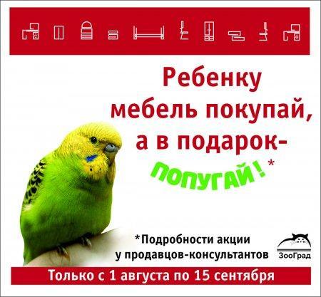 Подарок при покупке детской мебели