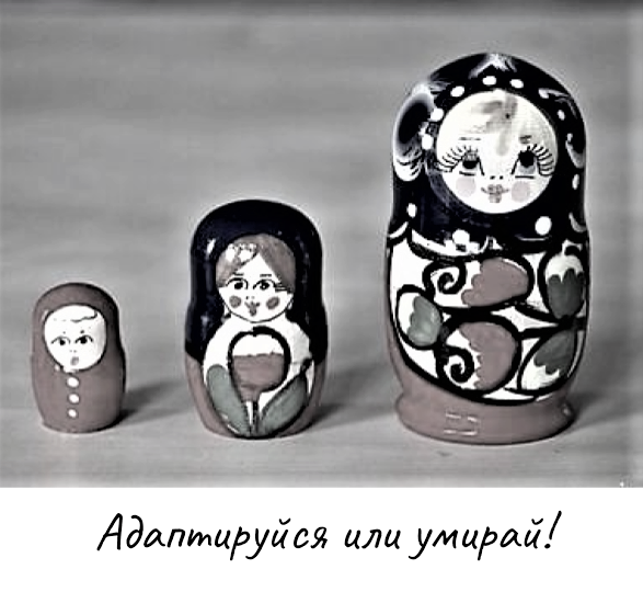 Адаптируйся или умирай.png Адаптируйся или умирай.png