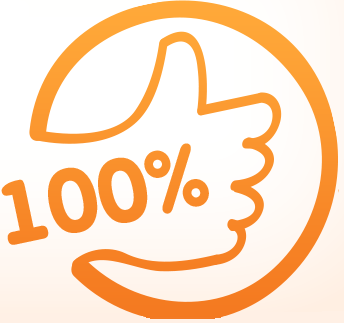100% практики