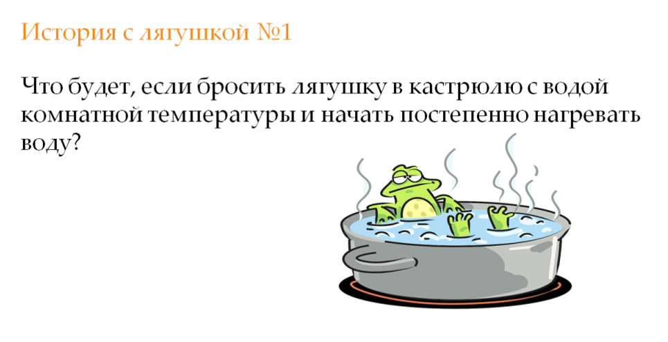 История с лягушкой 1.png